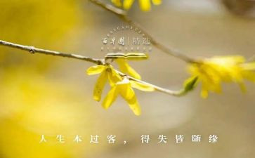 得与失的作文500字通用7篇