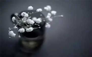 个人得与失年终总结精选6篇