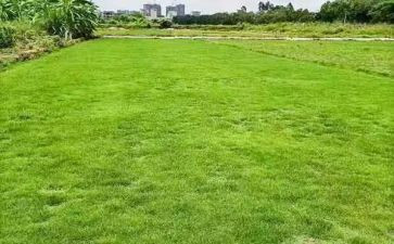 租赁场地合同优质7篇