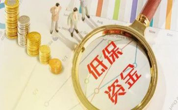 低保办工作总结5篇