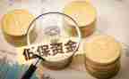 低保办工作总结参考5篇