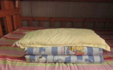 幼儿园叠被培训计划6篇