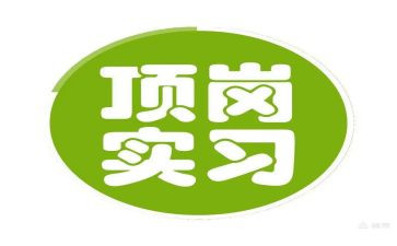 顶岗实习个人总结优秀8篇