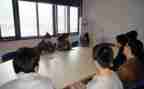 测量顶岗工作总结5篇