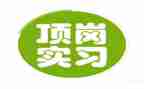 顶岗实习个人总结优秀8篇