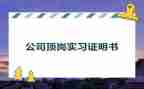 顶岗实习个人总结7篇