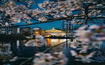 2024东京奥运的作文优秀7篇