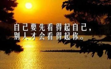 我读懂了——作文800字7篇