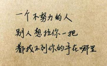 我终于读懂了她作文5篇