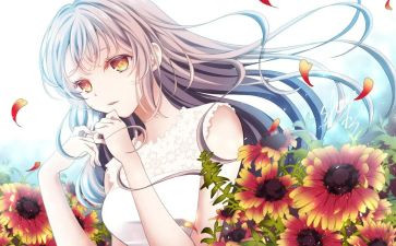 动漫社社团活动策划7篇