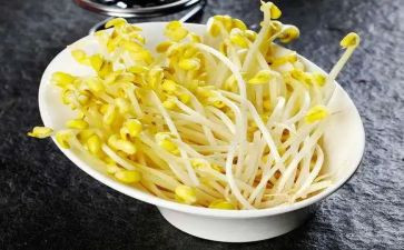 小豆芽成长记作文推荐8篇
