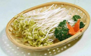 作文豆芽的7篇