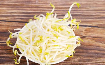 种豆芽的小作文5篇