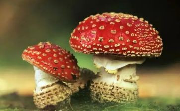 禁毒法宣传总结精选5篇