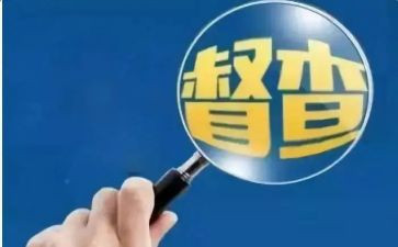 讲督查工作总结7篇