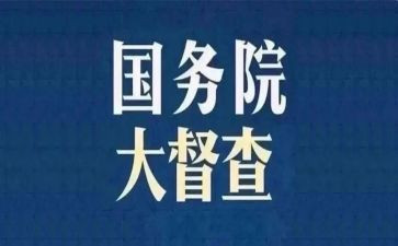 督查科半年工作总结7篇