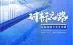 关于对标培训心得体会优秀7篇