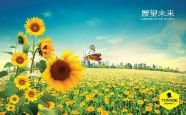 我憧憬的人作文7篇