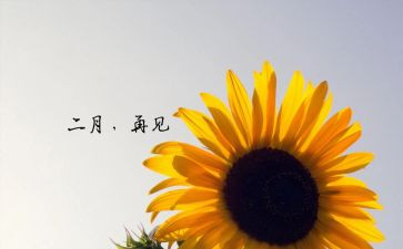 大班二月工作总结5篇