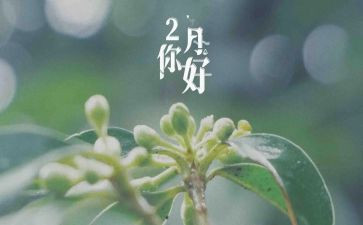 第二月工作总结8篇