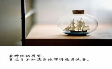 放月亮教案最新8篇