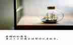 放我是小学生作文优质6篇