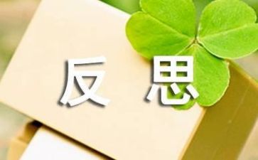 活动的总结反思5篇