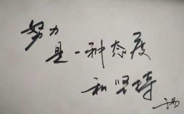 活动的总结反思优质7篇