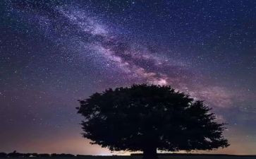 繁星71读后感最新8篇
