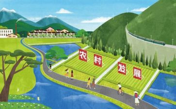 公司发展的心得体会5篇