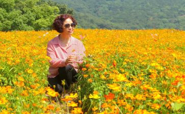 芬芳,作文通用7篇