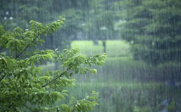 写风雨的作文600字最新6篇