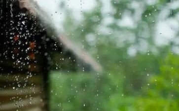在风雨中作文优质8篇