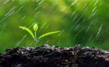 风雨中,我_______作文参考5篇