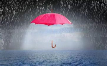 在风雨中成长优秀作文6篇