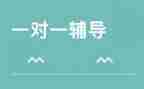 辅导工作总结模板5篇