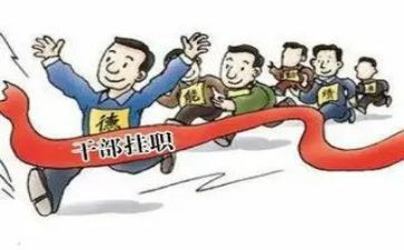 2024企业副职述职报告7篇