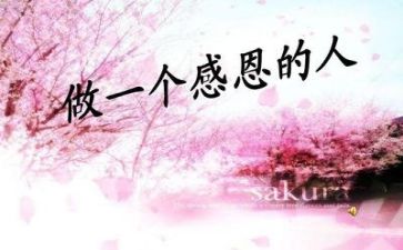 感恩工作心得体会模板6篇