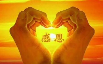 感恩日的作文5篇