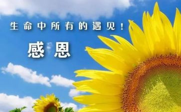 感谢300作文7篇