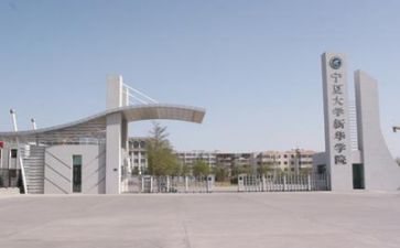 2024年高校教师年终工作总结优秀6篇