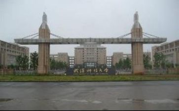 高校教师个人年度工作总结8篇