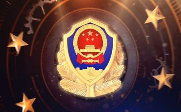 公安工作总结及工作计划5篇