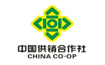 供销基层工作总结5篇