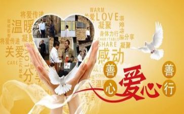 公益岗年度总结5篇