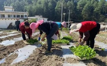 卖水果购销合同推荐7篇