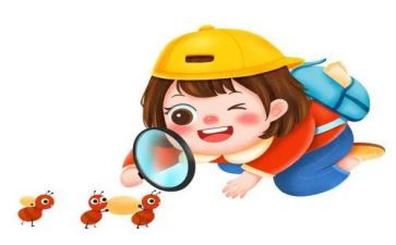 观察事的作文推荐6篇
