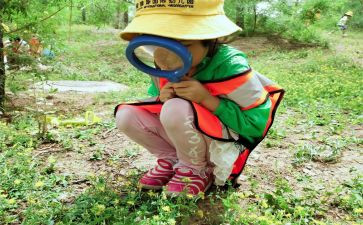 观察幼儿游戏心得体会5篇