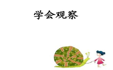 写观察事物的作文7篇