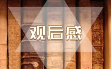 《感恩》电影观后感8篇
